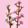LEGO Botanicals 40725 Kwiaty wiśni - 1202094 - zdjęcie 6